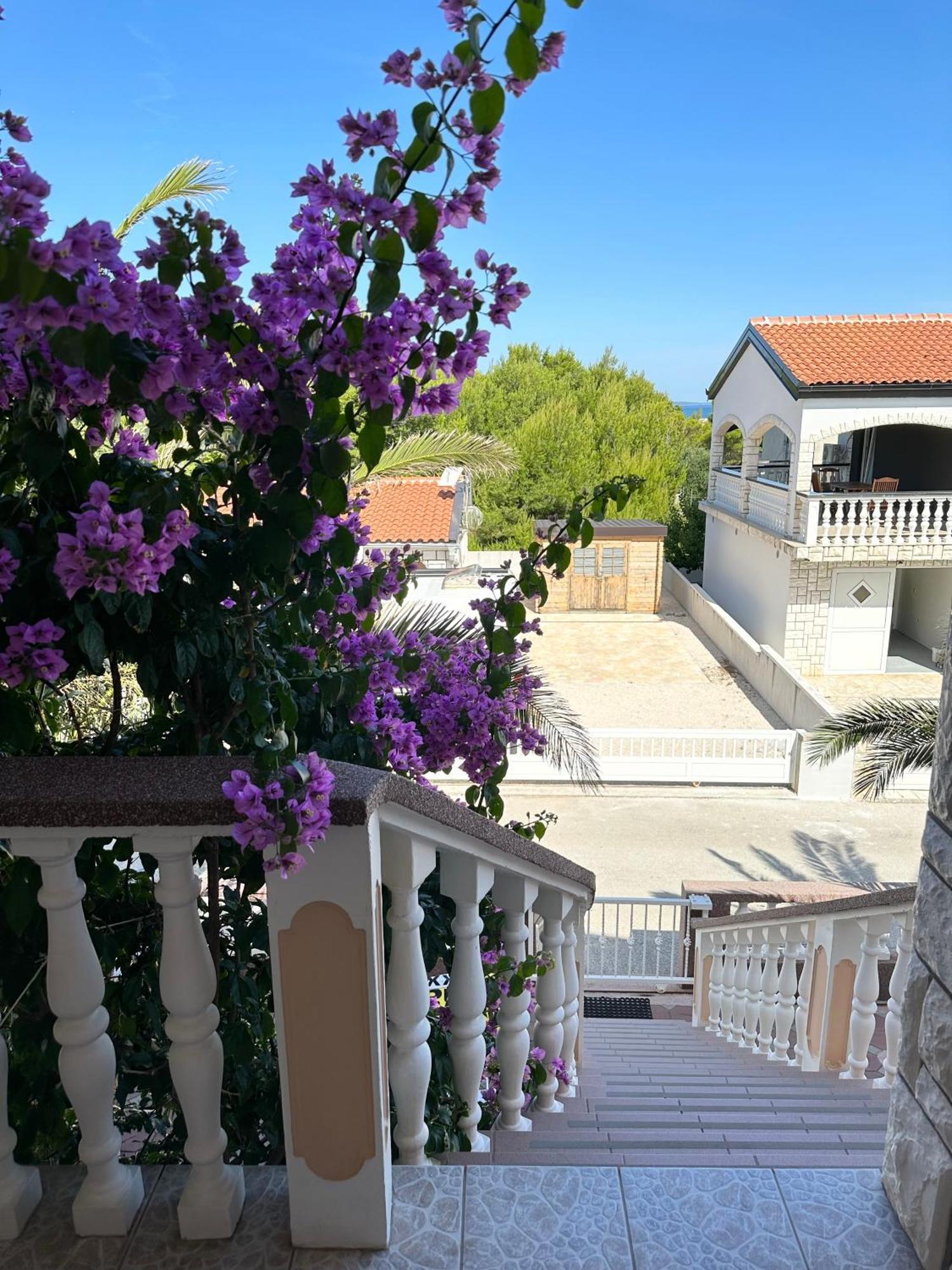 Apartmani Bermanec Vir Bagian luar foto